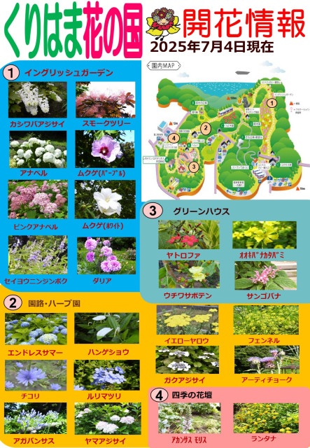 横須賀くりはま花の国・7/4～開花情報